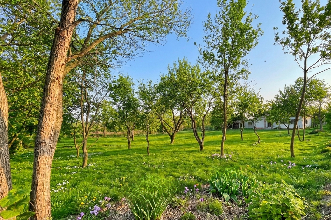 Stavební pozemek ve Skorkově