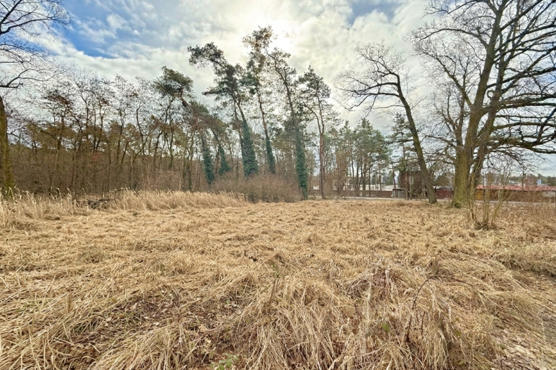 Pozemek Stará Boleslav
